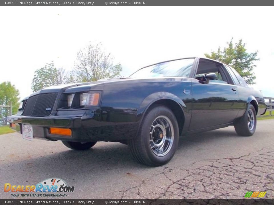 1987 Buick Regal Grand National Black / Black/Gray Photo #5