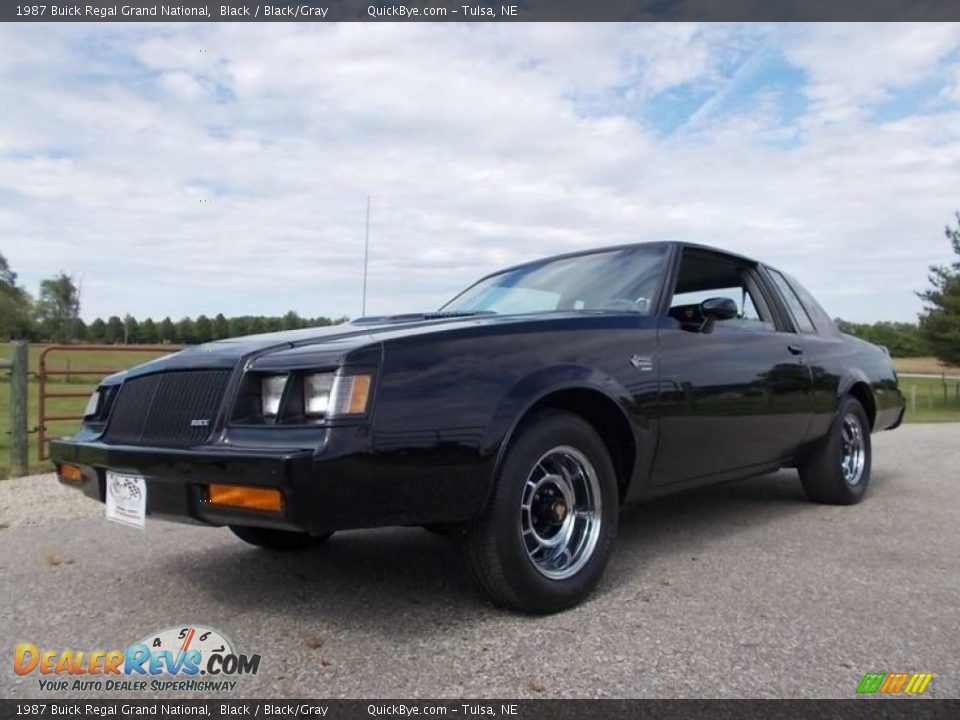 1987 Buick Regal Grand National Black / Black/Gray Photo #6