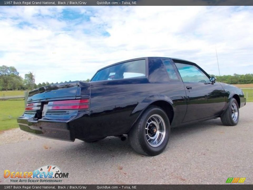 1987 Buick Regal Grand National Black / Black/Gray Photo #11