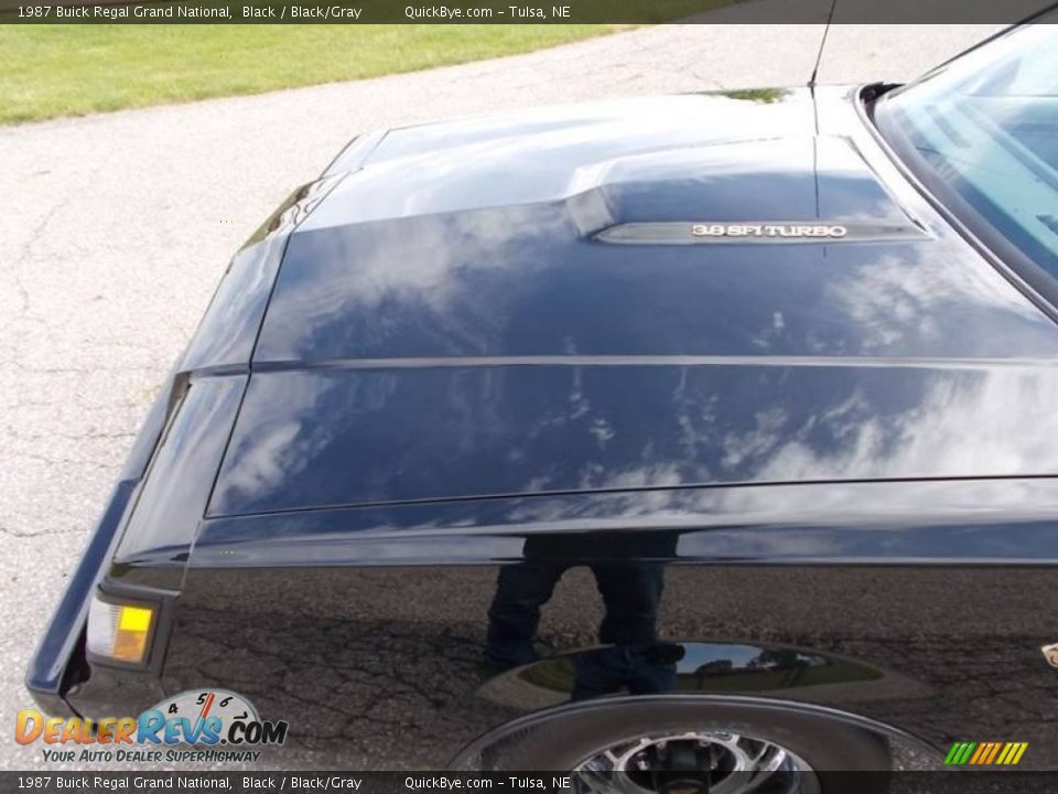 1987 Buick Regal Grand National Black / Black/Gray Photo #17