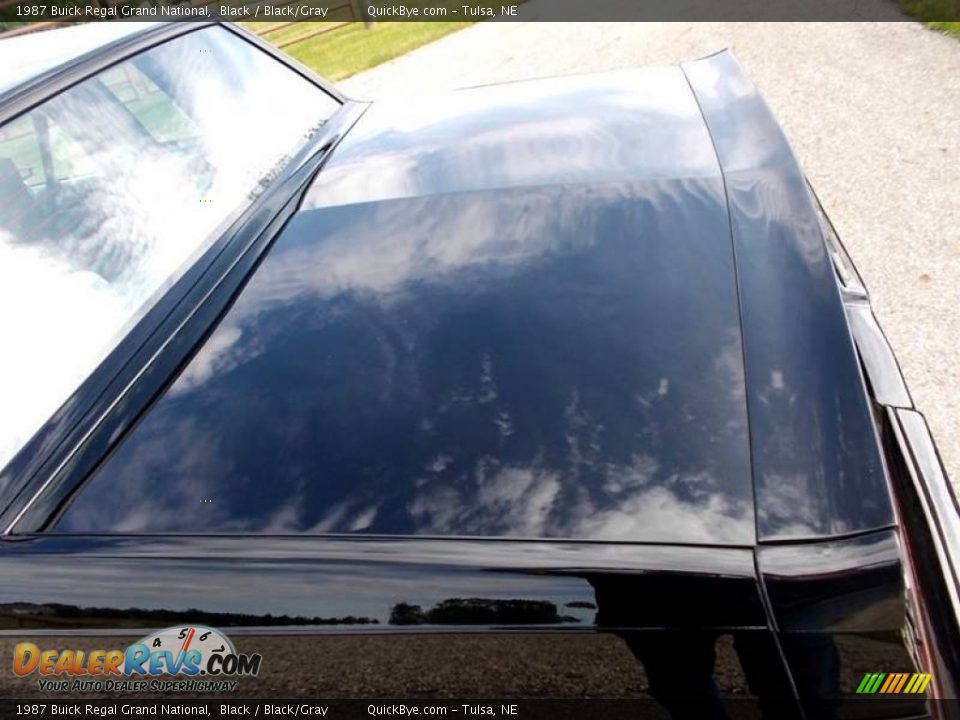 1987 Buick Regal Grand National Black / Black/Gray Photo #20