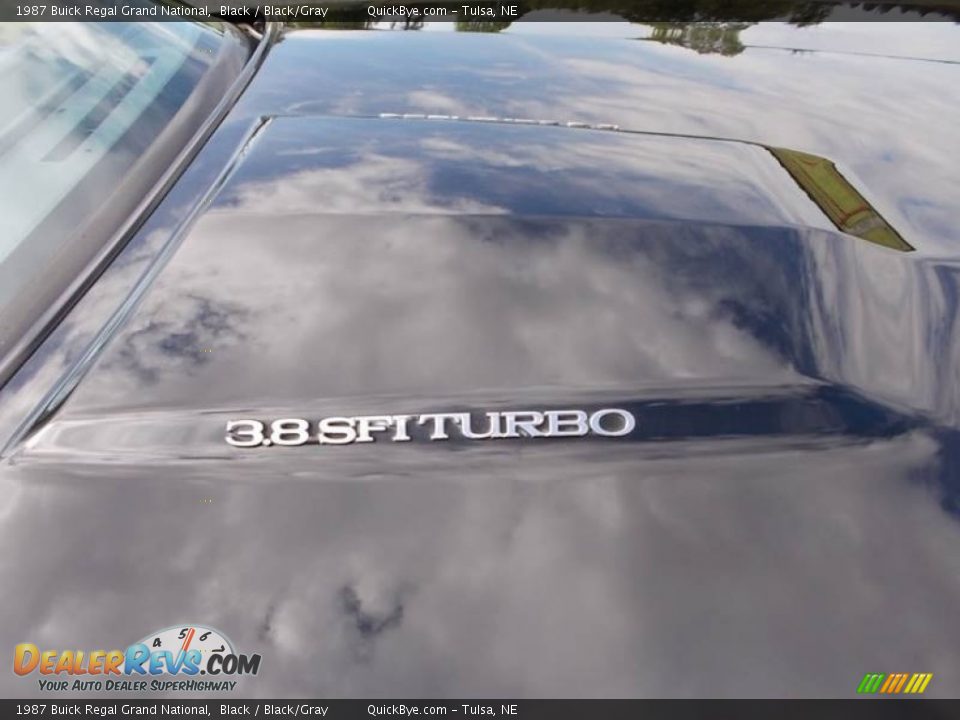 1987 Buick Regal Grand National Black / Black/Gray Photo #27
