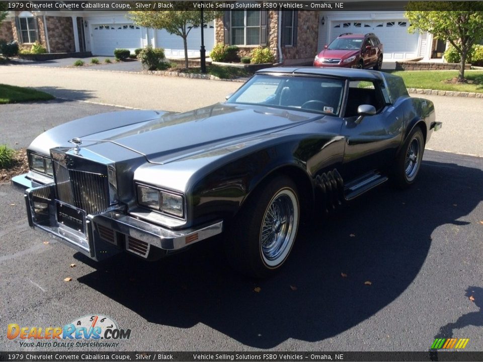 1979 Chevrolet Corvette Caballista Coupe Silver / Black Photo #1