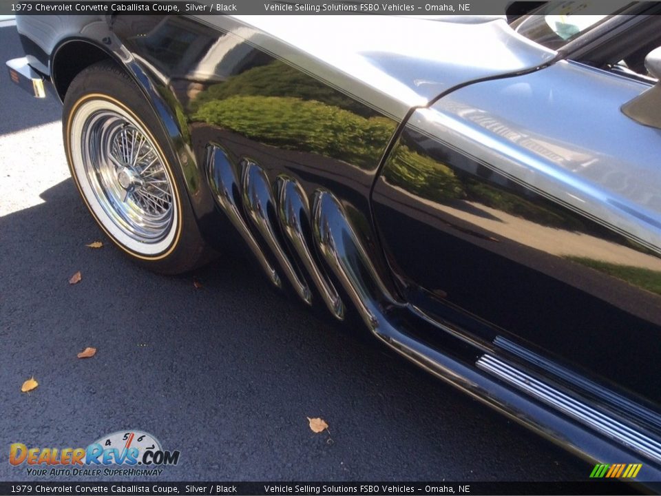 1979 Chevrolet Corvette Caballista Coupe Silver / Black Photo #3