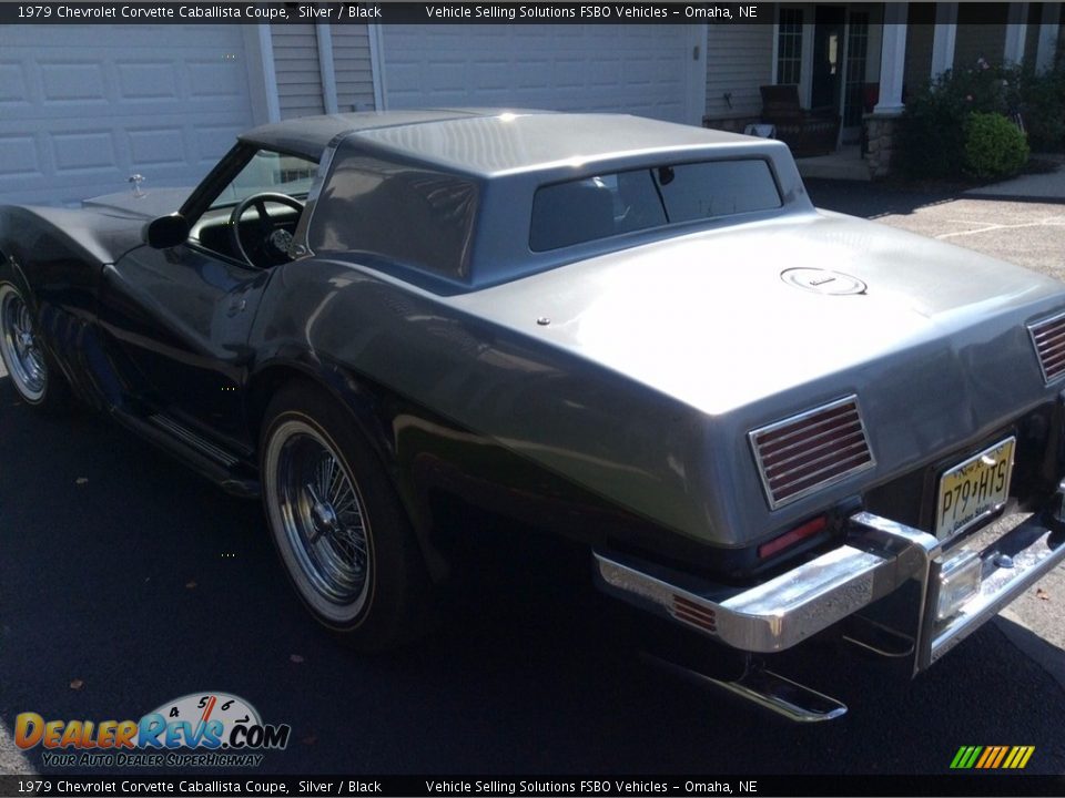 1979 Chevrolet Corvette Caballista Coupe Silver / Black Photo #4