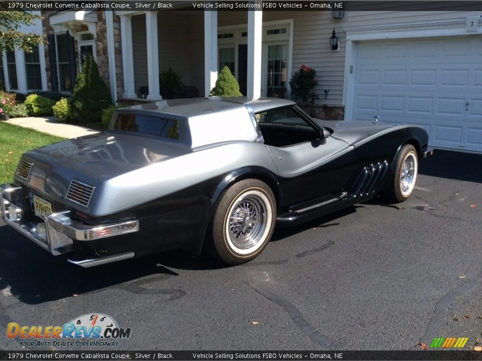 Silver 1979 Chevrolet Corvette Caballista Coupe Photo #5