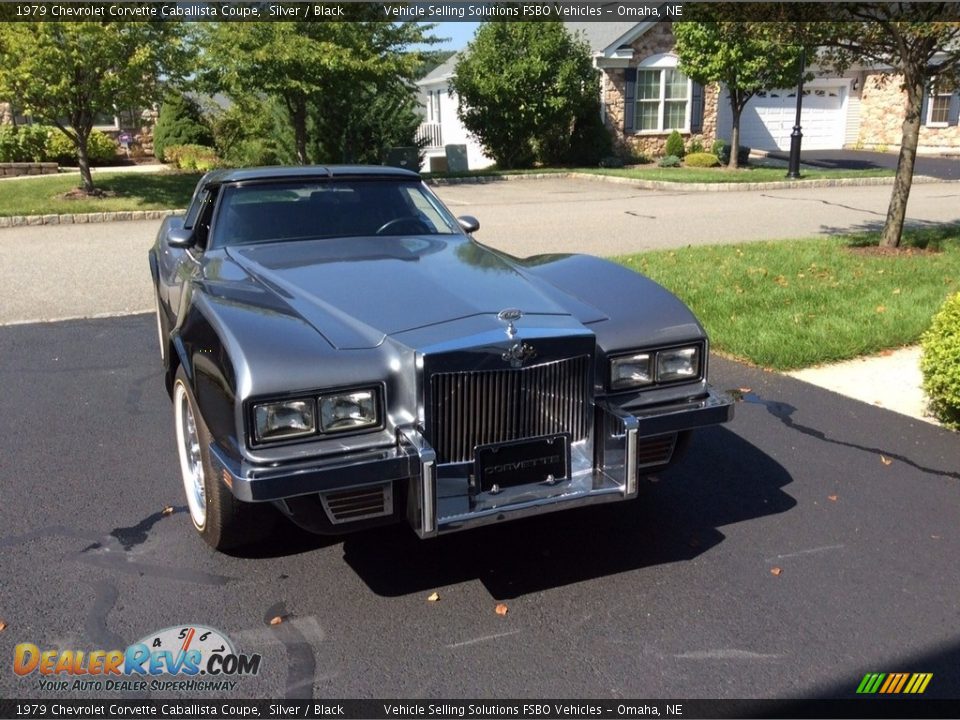 1979 Chevrolet Corvette Caballista Coupe Silver / Black Photo #7