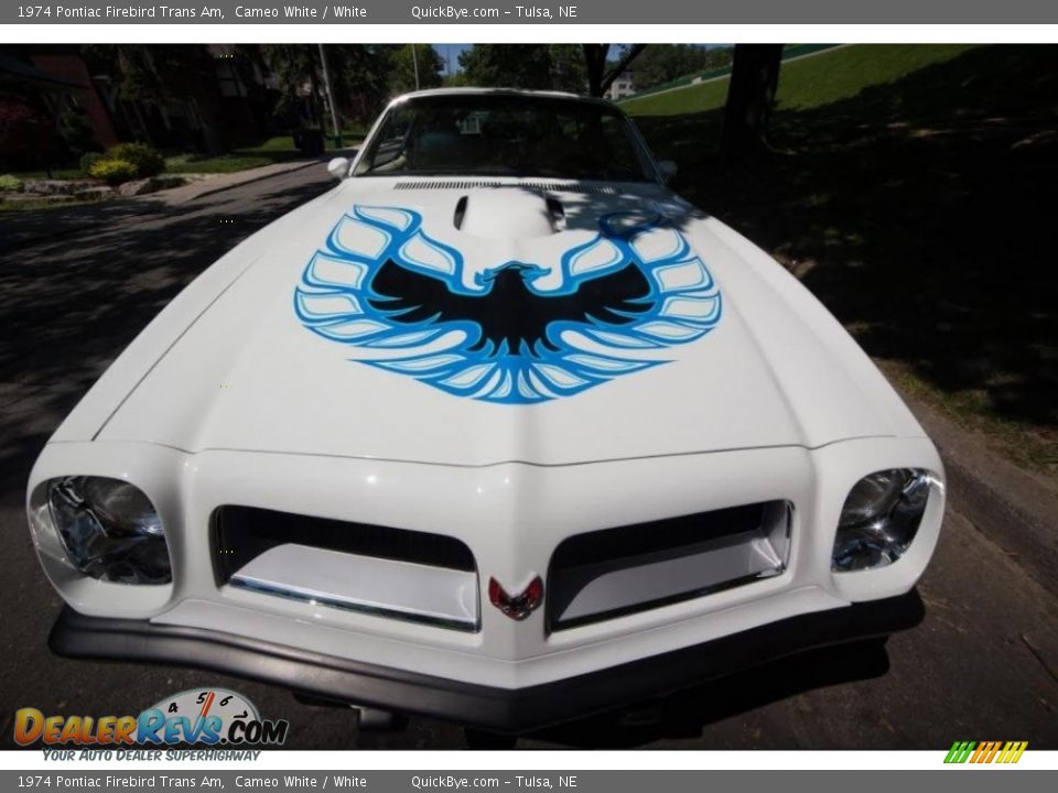 1974 Pontiac Firebird Trans Am Cameo White / White Photo #4