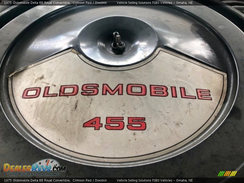 1975 Oldsmobile Delta 88 Royal Convertible Logo Photo #19