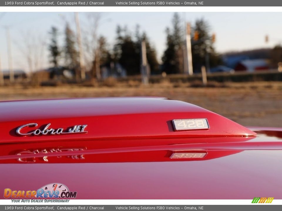 1969 Ford Cobra SportsRoof Logo Photo #24