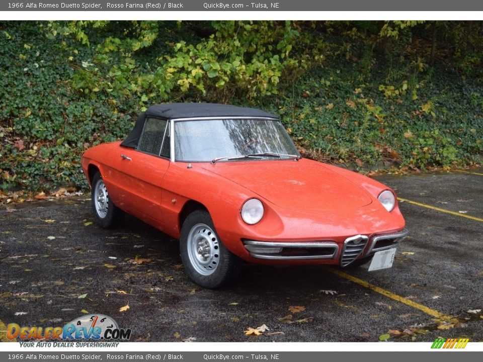 Rosso Farina (Red) 1966 Alfa Romeo Duetto Spider Photo #2