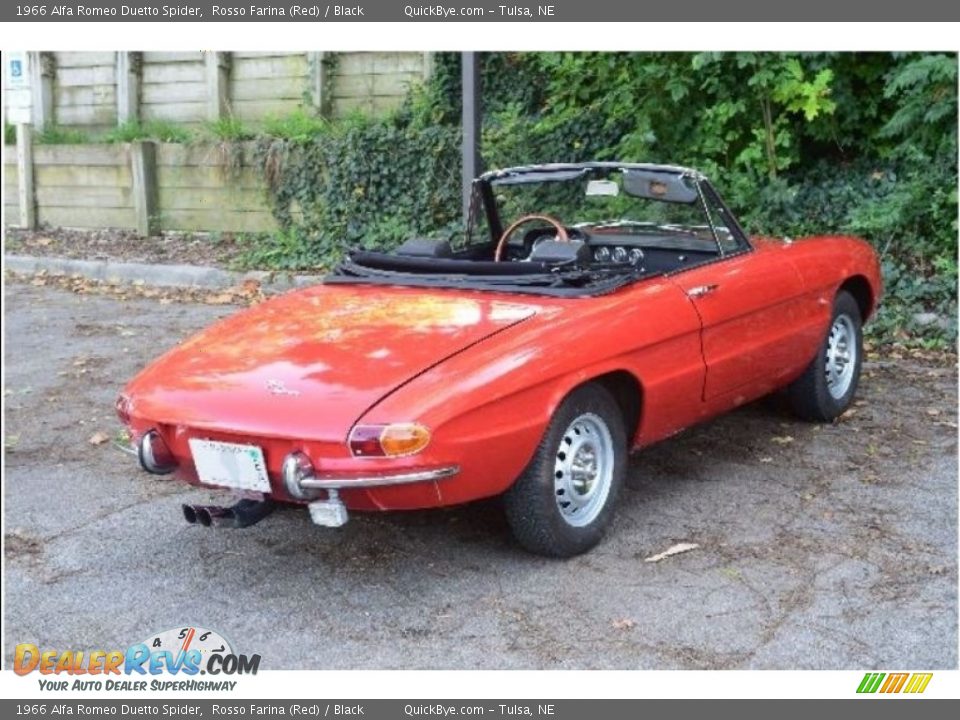 1966 Alfa Romeo Duetto Spider Rosso Farina (Red) / Black Photo #6