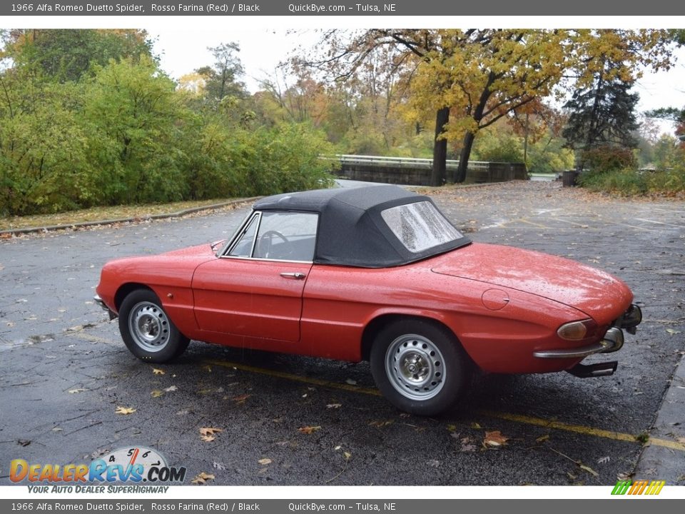 Rosso Farina (Red) 1966 Alfa Romeo Duetto Spider Photo #7
