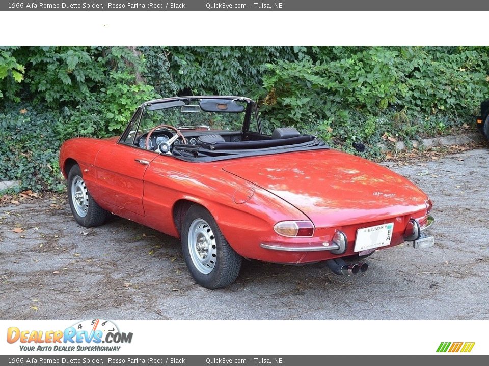Rosso Farina (Red) 1966 Alfa Romeo Duetto Spider Photo #8
