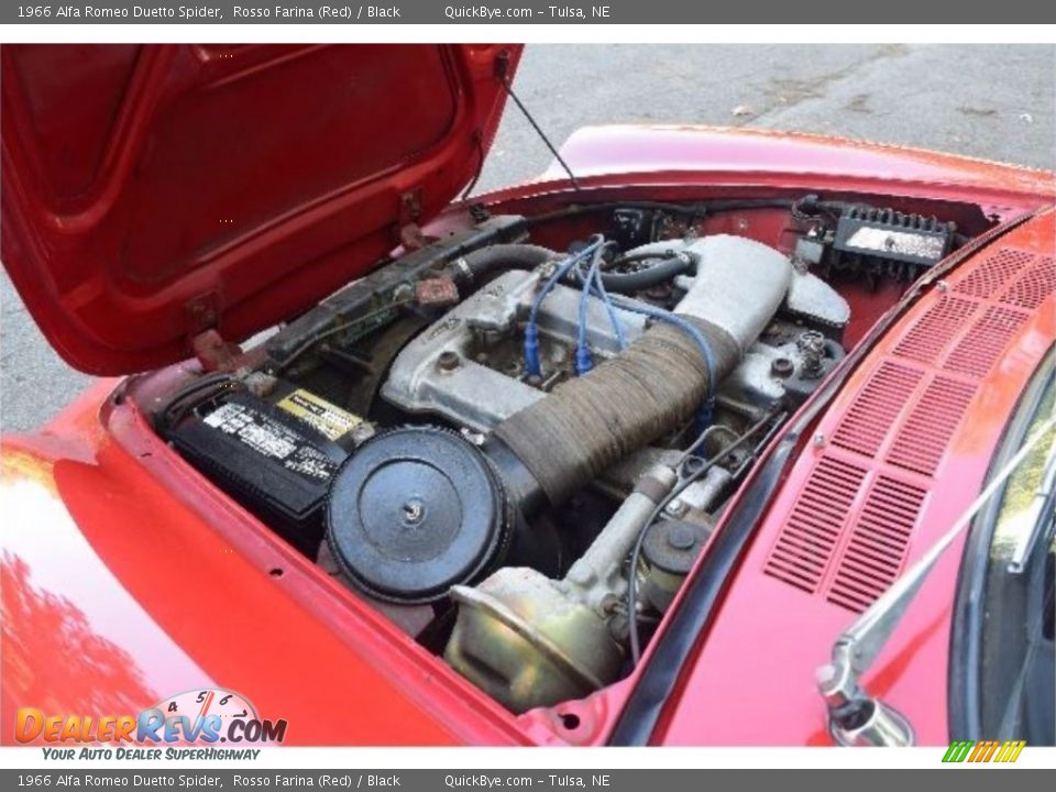 1966 Alfa Romeo Duetto Spider 1.6 Liter Twin Overhead Camshaft 8-Valve 4 Cylinder Engine Photo #18