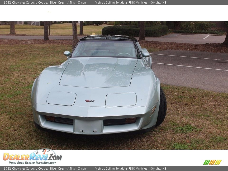 1982 Chevrolet Corvette Coupe Silver Green / Silver Green Photo #3