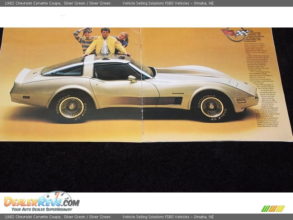 1982 Chevrolet Corvette Coupe Silver Green / Silver Green Photo #12