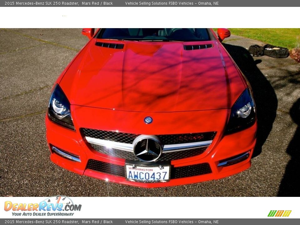 2015 Mercedes-Benz SLK 250 Roadster Mars Red / Black Photo #15