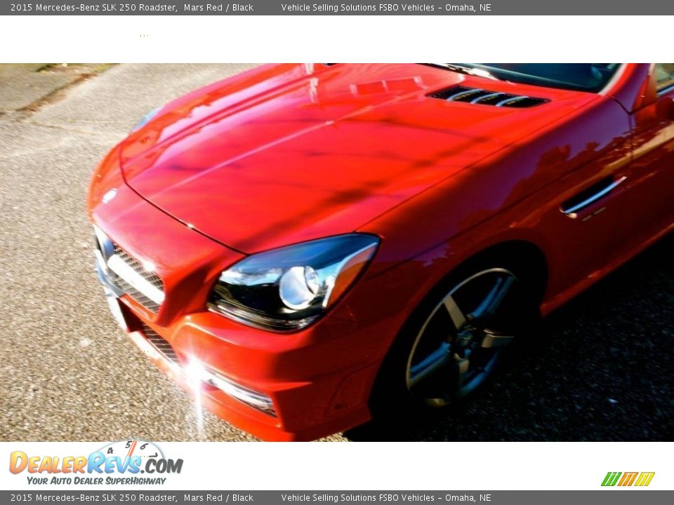 2015 Mercedes-Benz SLK 250 Roadster Mars Red / Black Photo #18