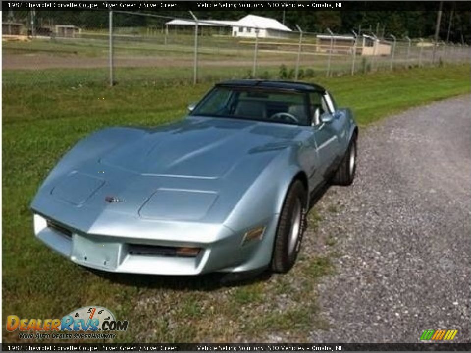 1982 Chevrolet Corvette Coupe Silver Green / Silver Green Photo #1