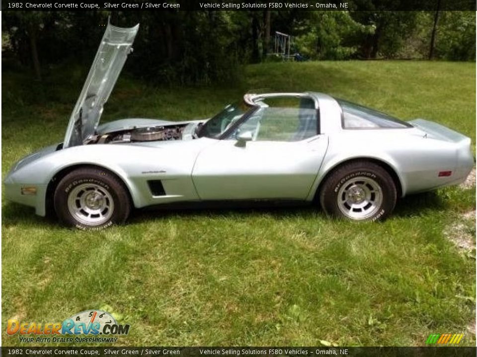 1982 Chevrolet Corvette Coupe Silver Green / Silver Green Photo #3