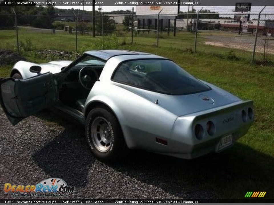 1982 Chevrolet Corvette Coupe Silver Green / Silver Green Photo #6