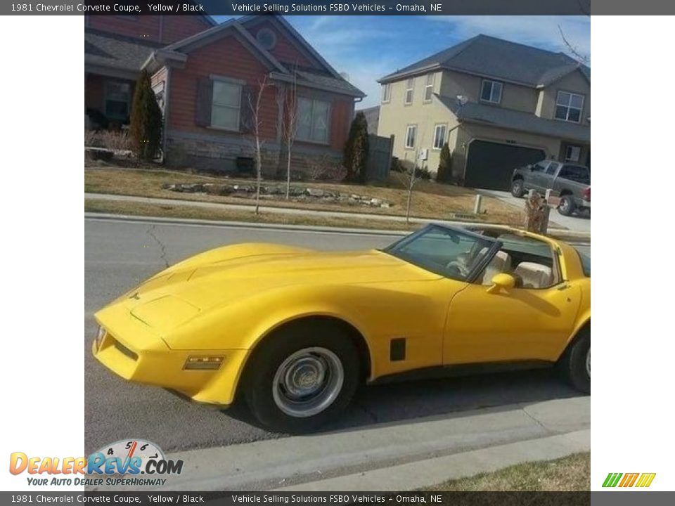 1981 Chevrolet Corvette Coupe Yellow / Black Photo #1