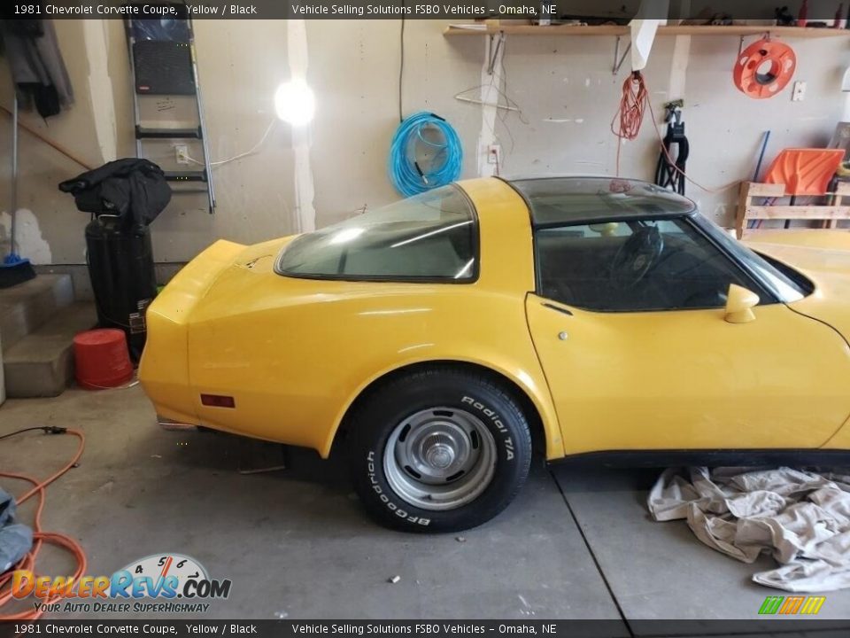 1981 Chevrolet Corvette Coupe Yellow / Black Photo #5