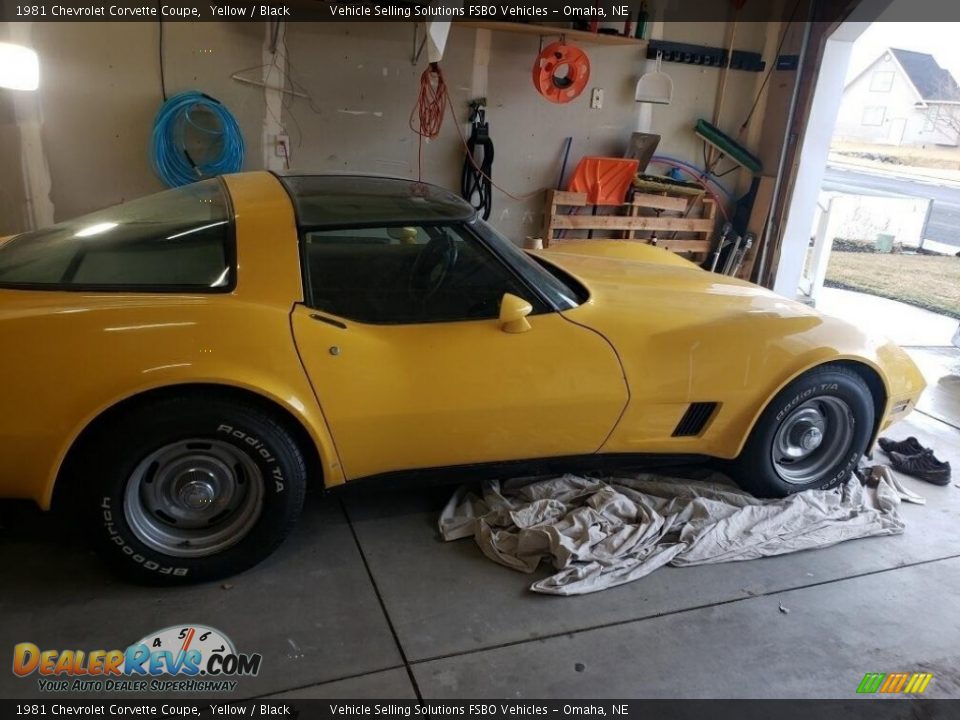 1981 Chevrolet Corvette Coupe Yellow / Black Photo #6