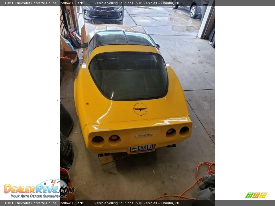 1981 Chevrolet Corvette Coupe Yellow / Black Photo #10