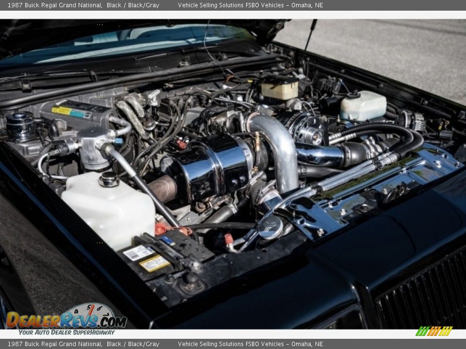 1987 Buick Regal Grand National Black / Black/Gray Photo #3