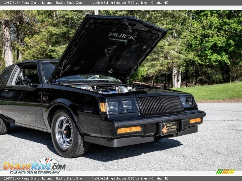 1987 Buick Regal Grand National Black / Black/Gray Photo #9