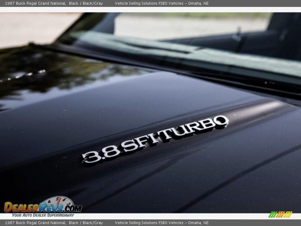 1987 Buick Regal Grand National Black / Black/Gray Photo #10