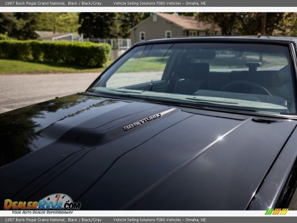 1987 Buick Regal Grand National Black / Black/Gray Photo #12