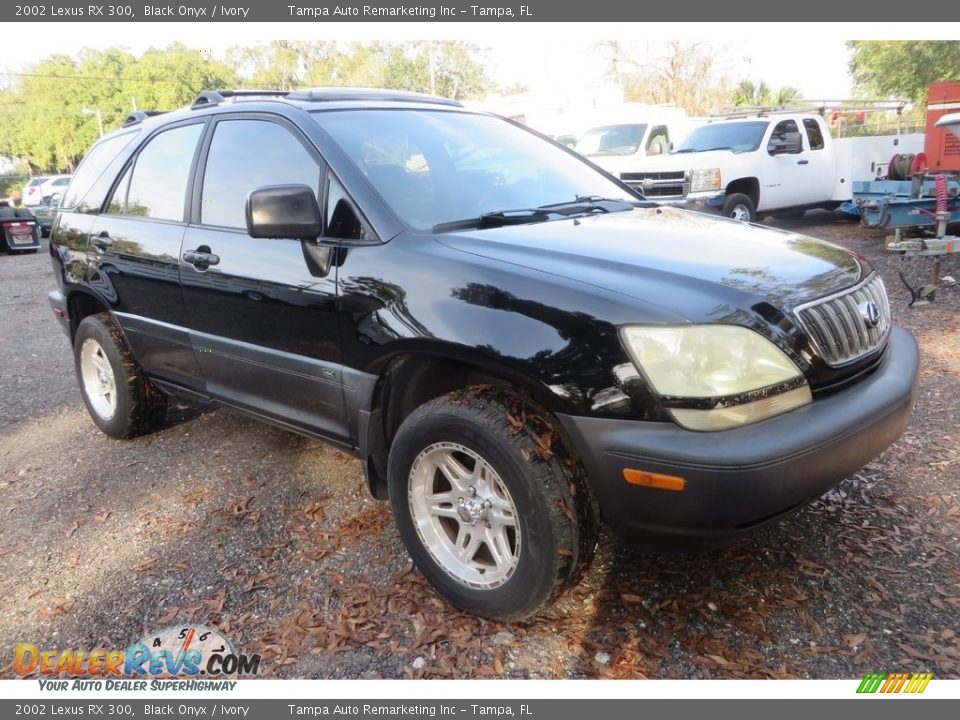 2002 Lexus RX 300 Black Onyx / Ivory Photo #2