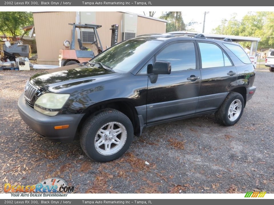 2002 Lexus RX 300 Black Onyx / Ivory Photo #3