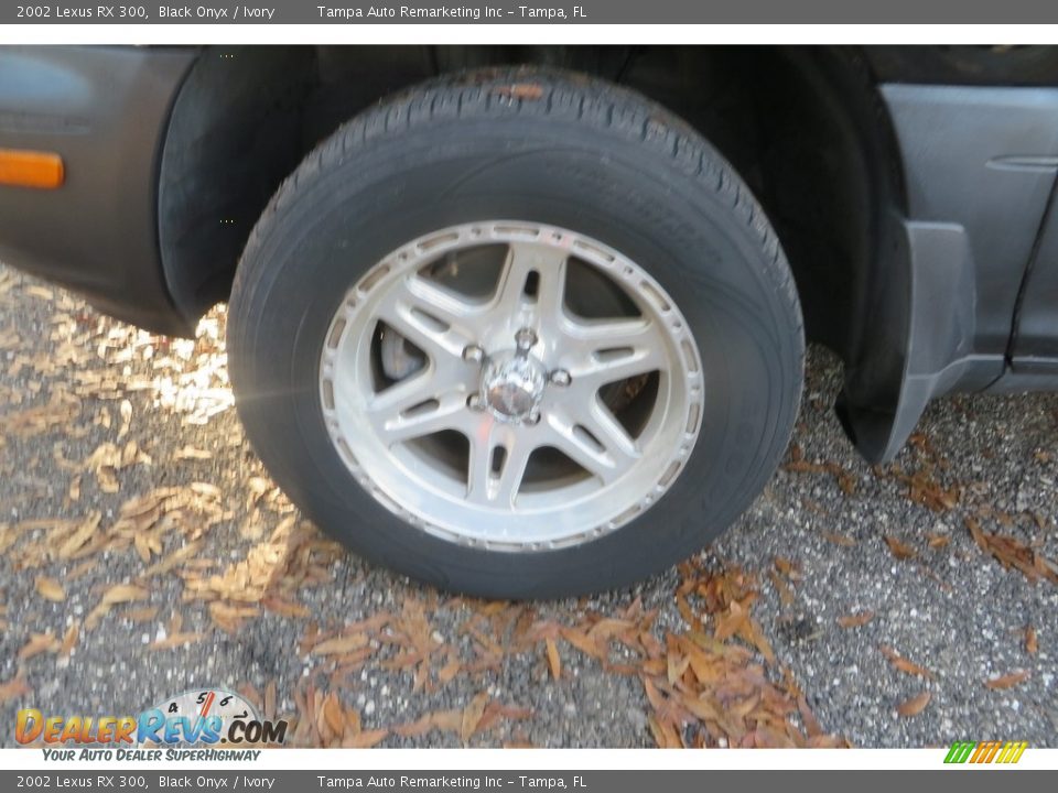 2002 Lexus RX 300 Black Onyx / Ivory Photo #27