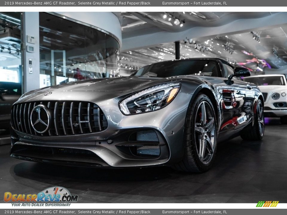 2019 Mercedes-Benz AMG GT Roadster Selenite Grey Metallic / Red Pepper/Black Photo #1