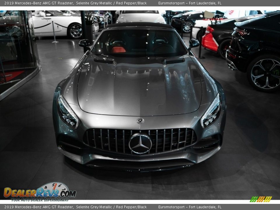 2019 Mercedes-Benz AMG GT Roadster Selenite Grey Metallic / Red Pepper/Black Photo #3