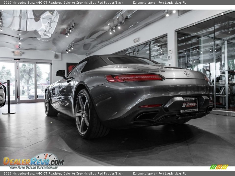 2019 Mercedes-Benz AMG GT Roadster Selenite Grey Metallic / Red Pepper/Black Photo #7