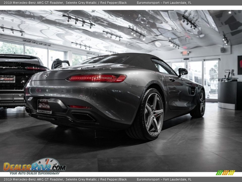 2019 Mercedes-Benz AMG GT Roadster Selenite Grey Metallic / Red Pepper/Black Photo #9