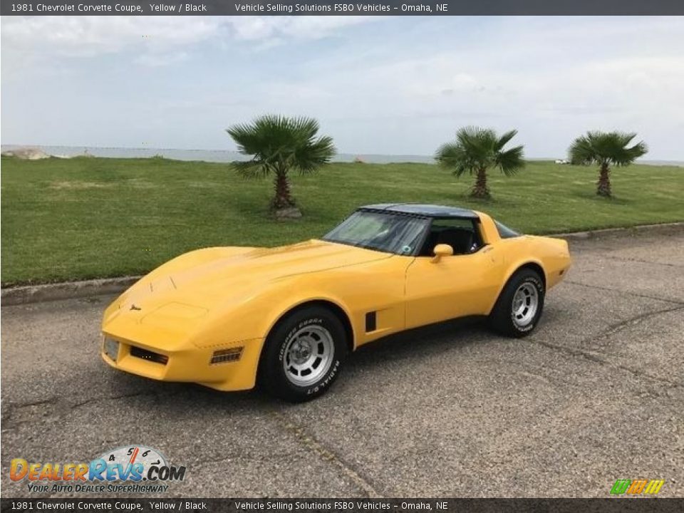 1981 Chevrolet Corvette Coupe Yellow / Black Photo #1