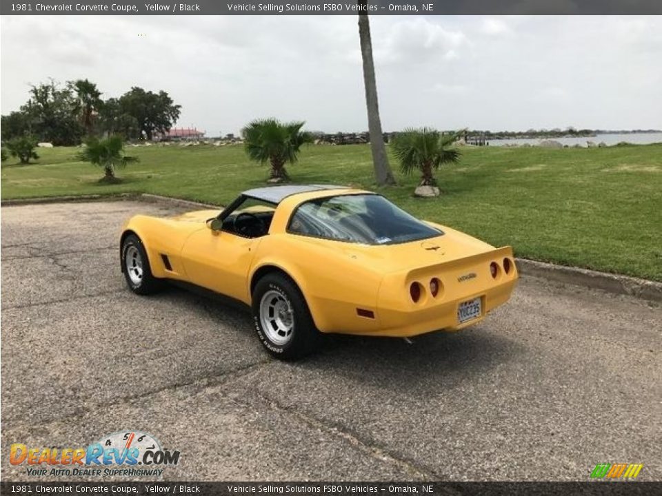 1981 Chevrolet Corvette Coupe Yellow / Black Photo #3