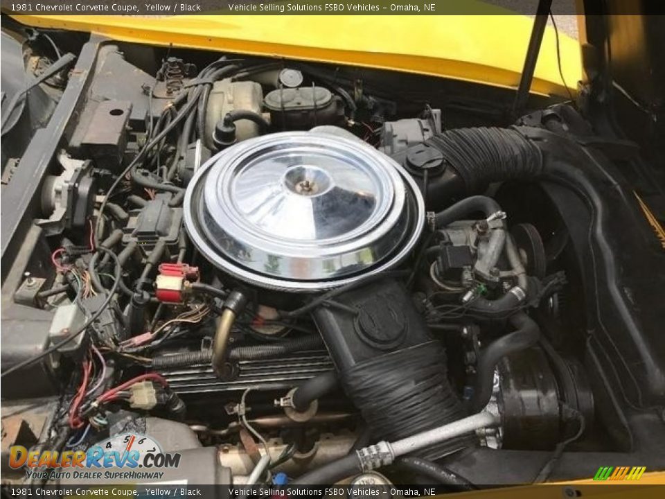 1981 Chevrolet Corvette Coupe Yellow / Black Photo #5