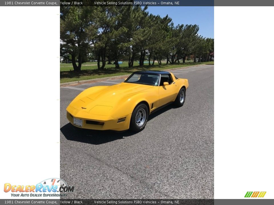 1981 Chevrolet Corvette Coupe Yellow / Black Photo #8