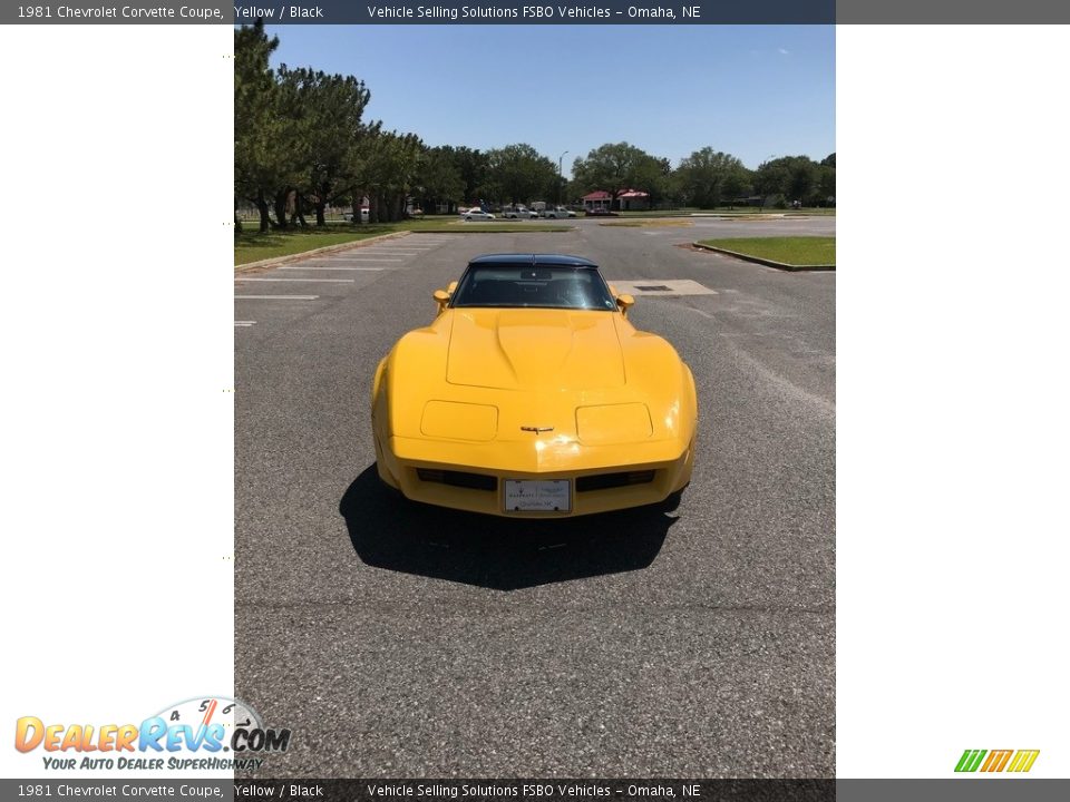 1981 Chevrolet Corvette Coupe Yellow / Black Photo #9