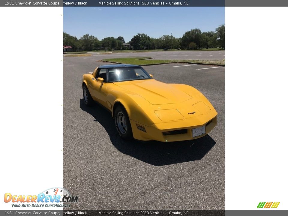 1981 Chevrolet Corvette Coupe Yellow / Black Photo #10