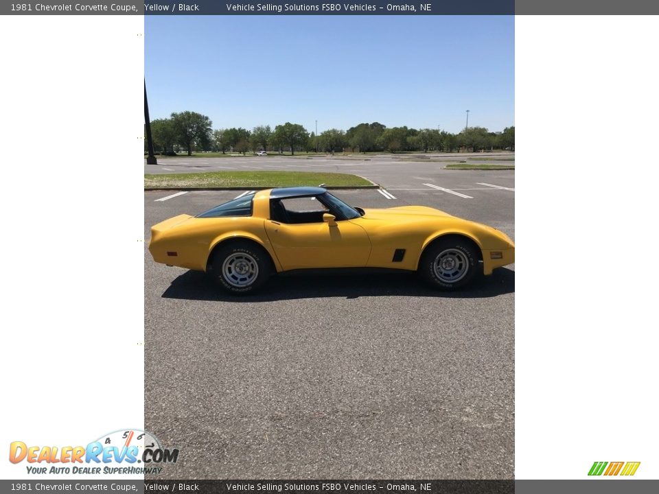 1981 Chevrolet Corvette Coupe Yellow / Black Photo #11