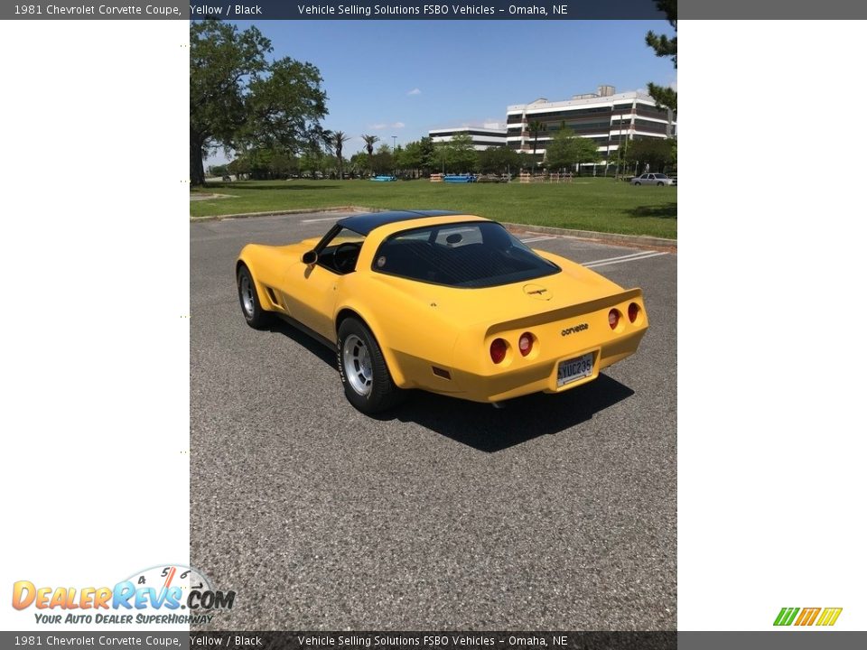 1981 Chevrolet Corvette Coupe Yellow / Black Photo #14