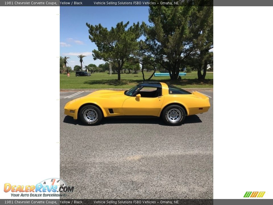 1981 Chevrolet Corvette Coupe Yellow / Black Photo #15